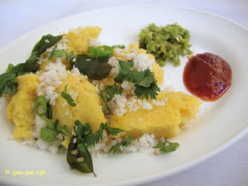Khaman Dhokla 3