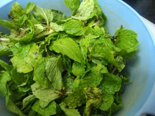Mint Leaves