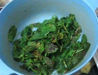 Mint Leaves in microwave